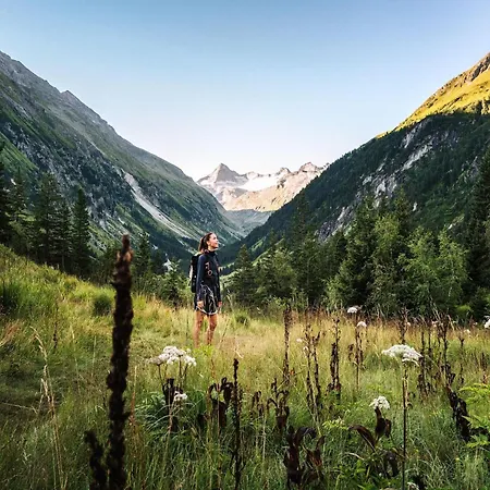 Appartamento In Bramberg Near Lift *